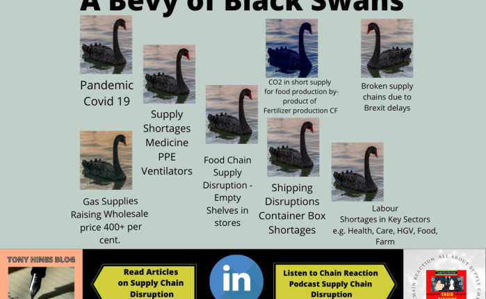 A Bevy of Black Swans